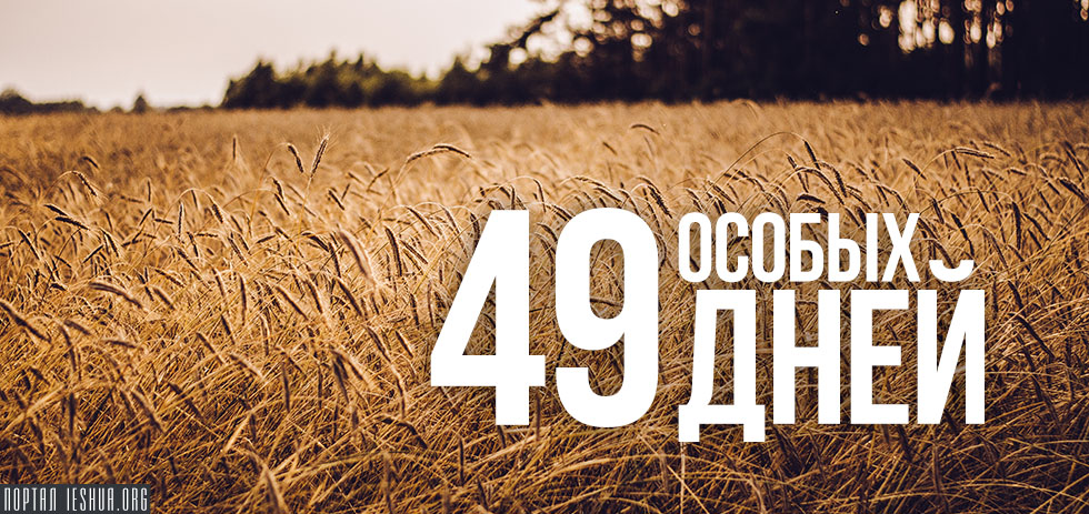 49 особых дней