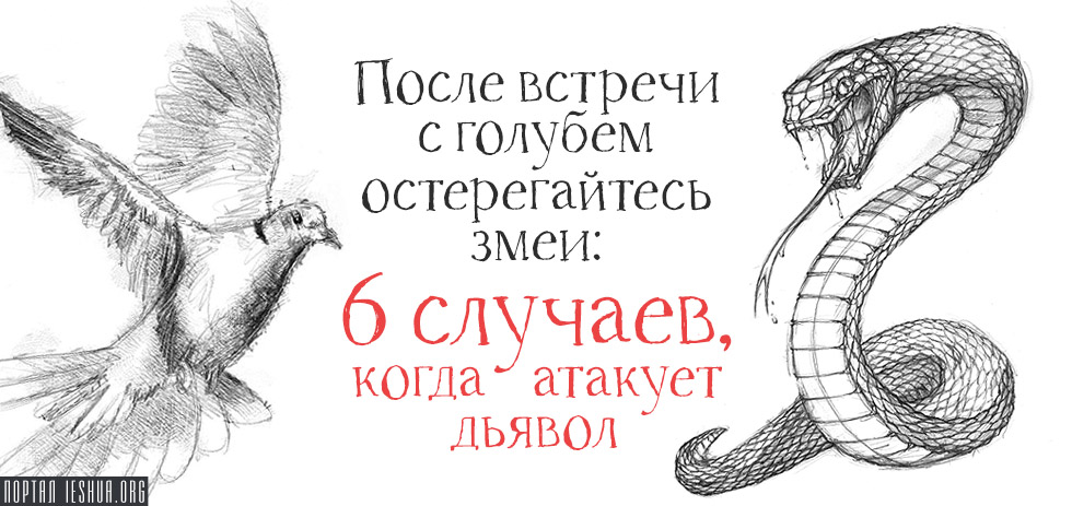 После встречи с голубем остерегайтесь змеи: 6 случаев, когда атакует дьявол