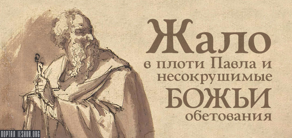 Святой Павел. Апостол, которого мы любим ненавидеть / Книги без серии / Книги / Альпина нон-фикшн