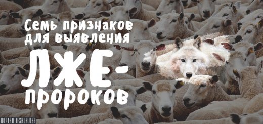 Волк в овечьей шкуре тату эскиз