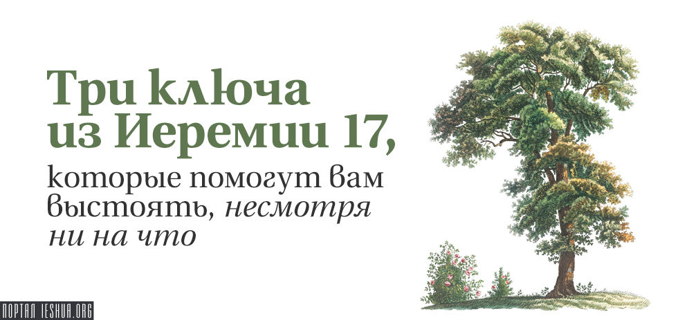 Три ключа из Иеремии 17, которые помогут вам выстоять, несмотря ни на что