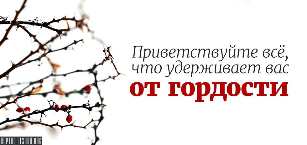 Приветствуйте всё, что удерживает вас от гордости