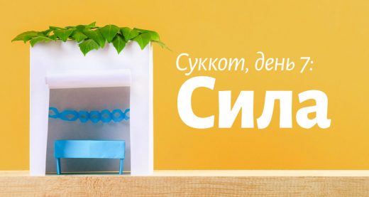 Суккот, день 7: Сила