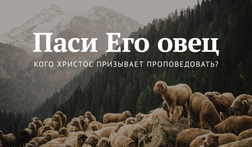 Паси Его овец: кого Христос призывает проповедовать?