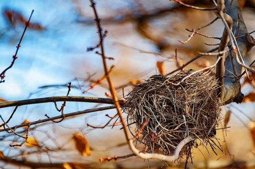 5 уроков из опустевшего гнезда для молодых семей