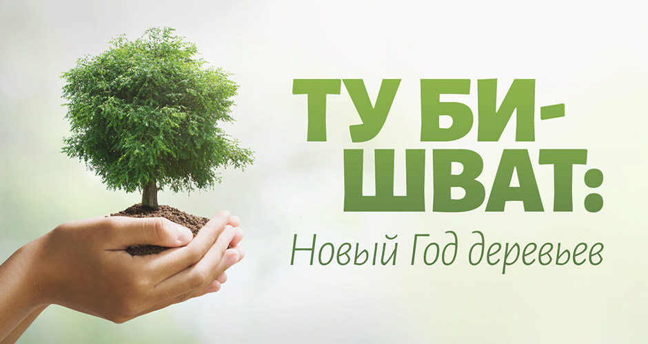 Ту би-Шват: Новый Год деревьев