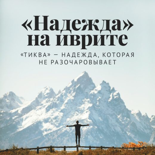 «Надежда» на иврите: «Тиква» — надежда, которая не разочаровывает