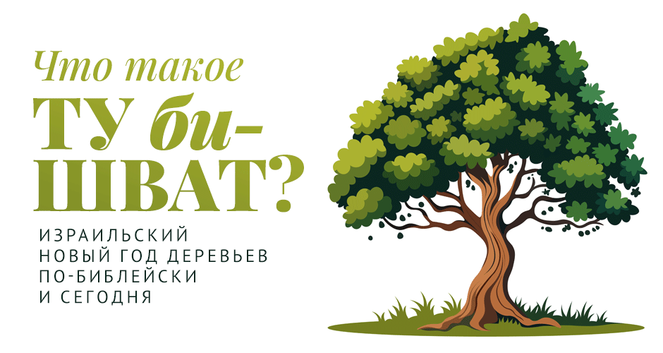 Что такое Ту би-Шват? Израильский Новый год деревьев по-библейски и сегодня