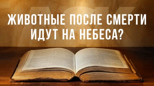 Животные после смерти идут на небеса?