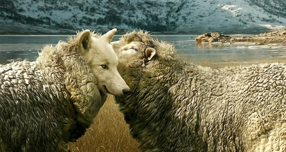 Несподівана правда про лжевчителів