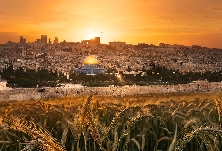 Что такое Шавуот? Знакомимся с этим еврейским праздником