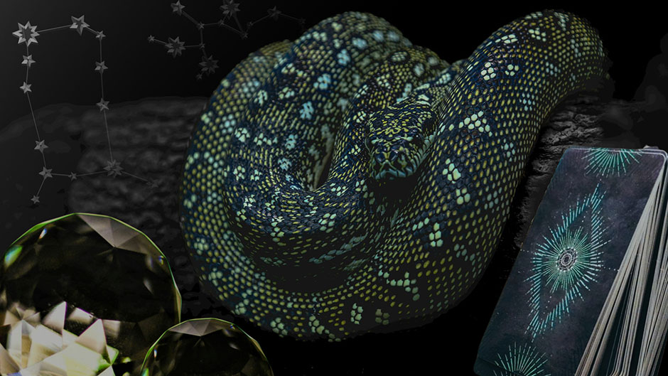 Поколение зумеров обращается к оккультизму... как нам реагировать?