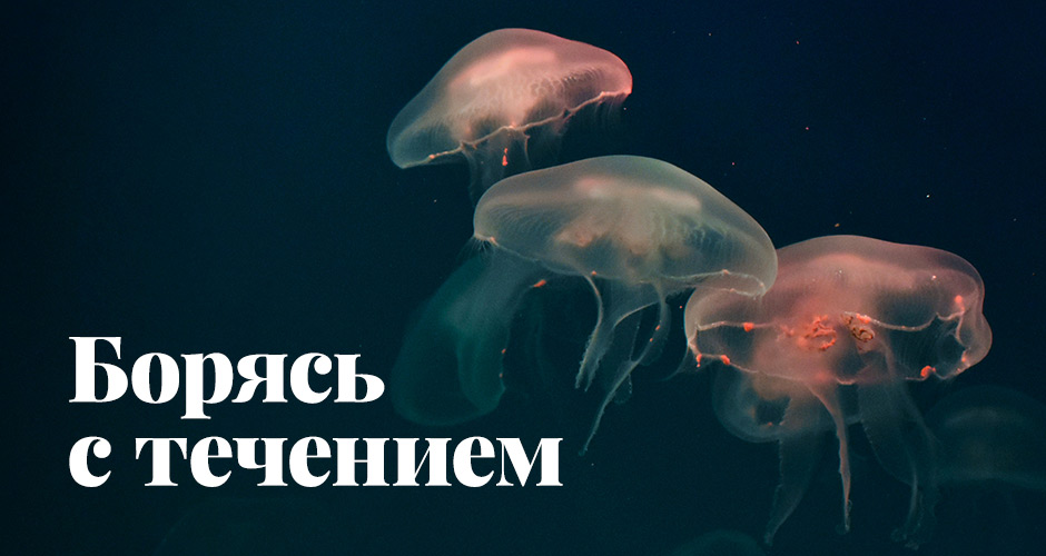 Борясь с течением