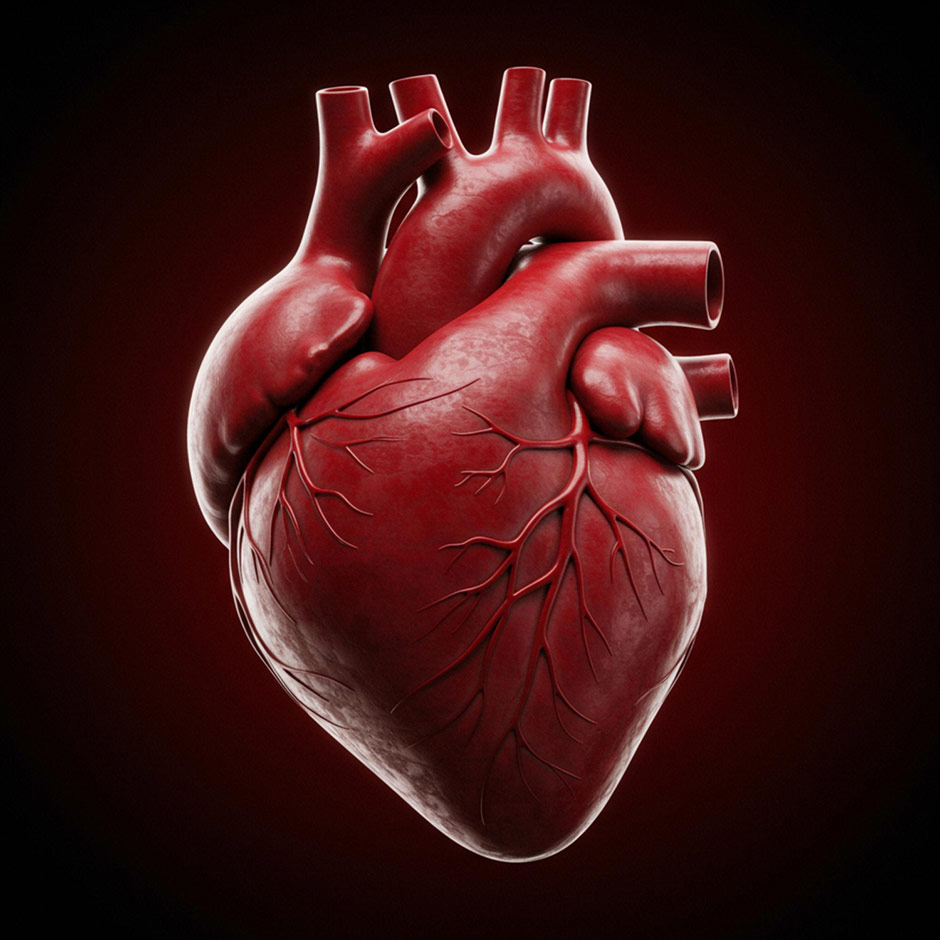 Лукавое сердце