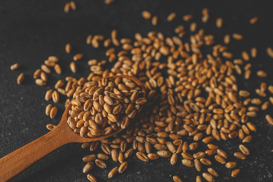 Жена священника, спасшая Рождество