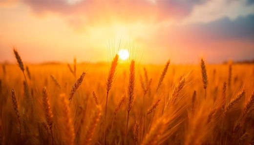 Счет Омера и восстановление Израиля