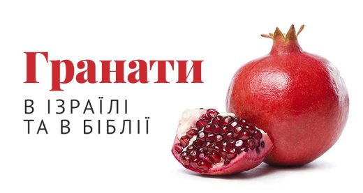 Гранати в Ізраїлі та в Біблії